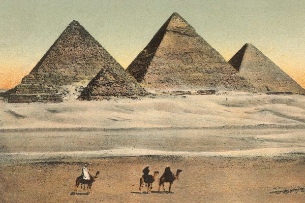 Camels: Cairo Pyramids by Wild Apple Portfolio