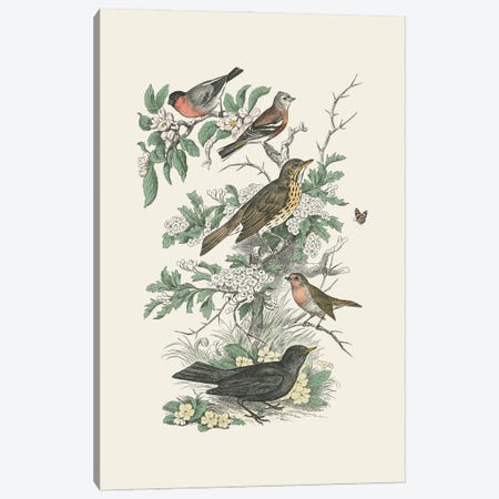 Honeybloom Bird I Canvas Print #WAC9850} by Wild Apple Portfolio Art Print