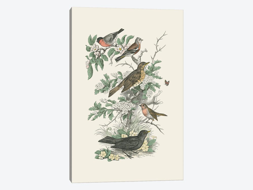 Honeybloom Bird I by Wild Apple Portfolio 1-piece Art Print