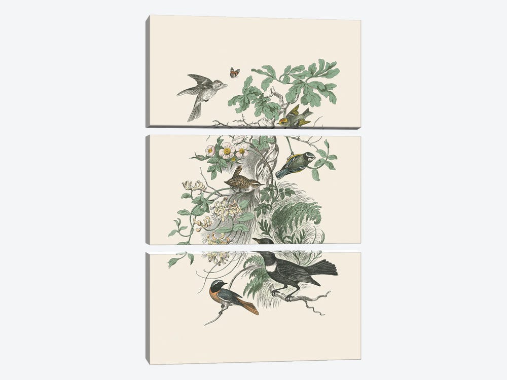 Honeybloom Bird II by Wild Apple Portfolio 3-piece Canvas Art