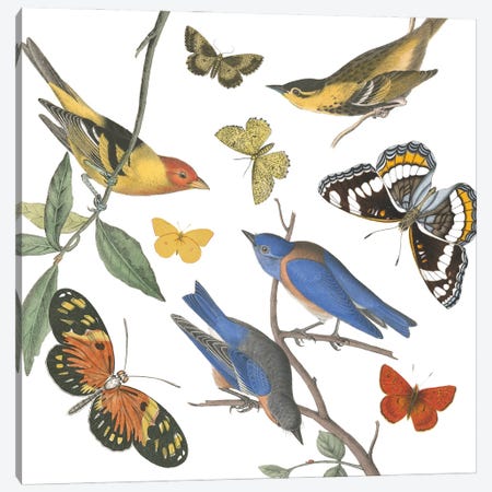 Natures Flight I No Ferns Canvas Print #WAC9852} by Wild Apple Portfolio Canvas Print