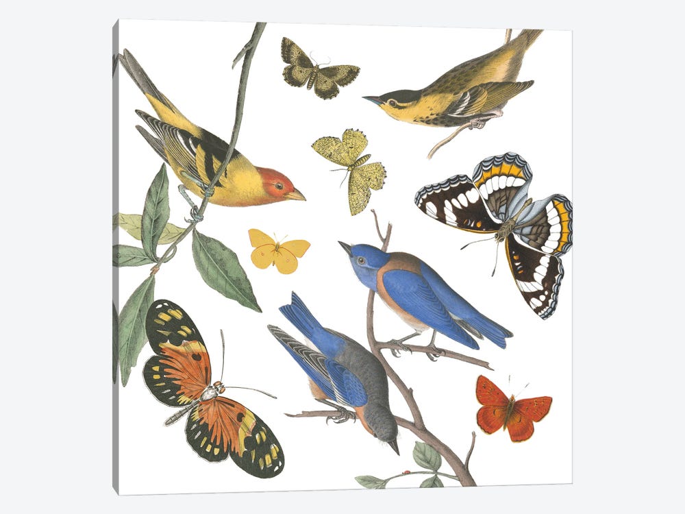 Natures Flight I No Ferns by Wild Apple Portfolio 1-piece Art Print