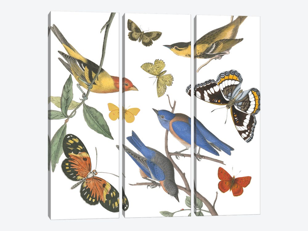 Natures Flight I No Ferns by Wild Apple Portfolio 3-piece Canvas Art Print