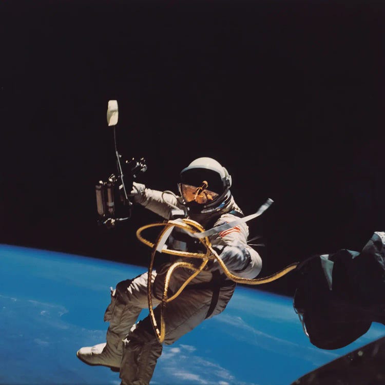 Orbit by Wild Apple Portfolio wall art