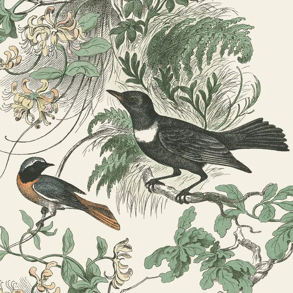 Wild Apple Portfolio: Honeybloom Bird VI by Wild Apple Portfolio
