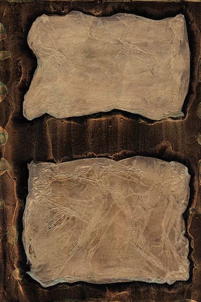 Outlier I by Renée Stramel framed wall art