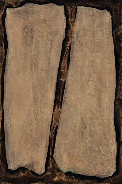 Outlier III by Renée Stramel multi panel art