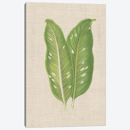 Leaves On Linen V Canvas Print #WAG169} by Unknown Artist Canvas Artwork