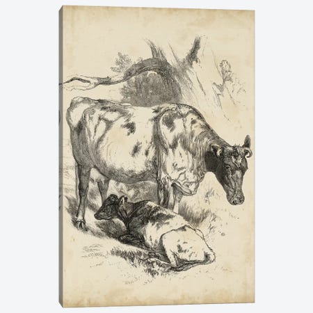 Pastoral Sketch I Canvas Print #WAG180} by Unknown Artist Canvas Artwork