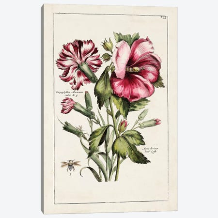Pink Hibiscus Canvas Print #WAG207} by World Art Group Portfolio Canvas Wall Art