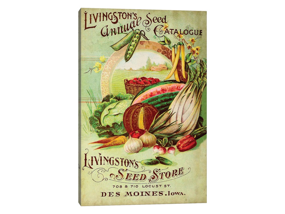 Vintage Seed Packets I On Canvas by Studio W Print