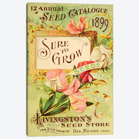 Antique Seed Packets VIII Canvas Print #WAG232} by World Art Group Portfolio Canvas Wall Art