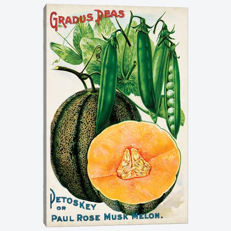 Antique Seed Packets X Canvas Print #WAG233} by World Art Group Portfolio Canvas Artwork