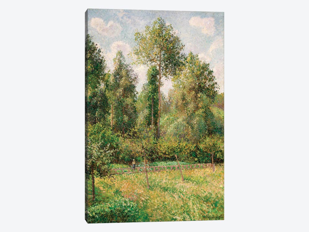 Poplars, Eragny by Camille Pissarro 1-piece Canvas Art