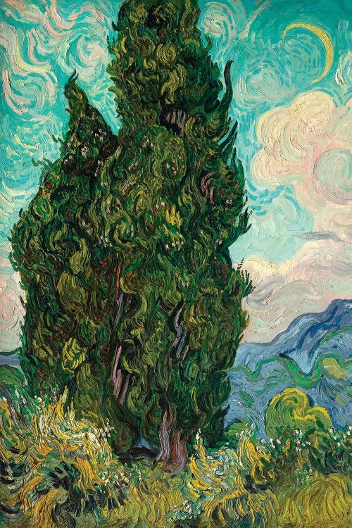 Cypresses I