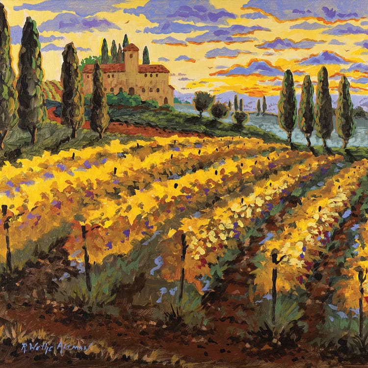 Sunset On The Vineyard