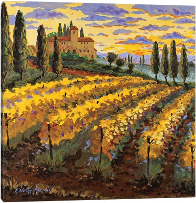Sunset On The Vineyard Canvas Art Print - Tuscany Art
