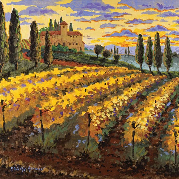 Sunset On The Vineyard