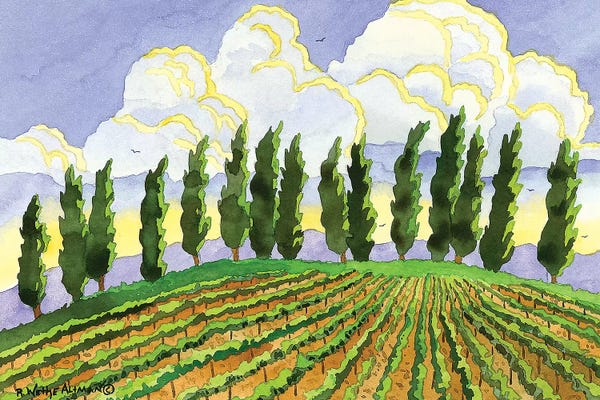 Cypress In The Clouds