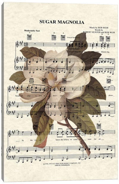Sugar Magnolia Canvas Art Print - Musical Notes Art