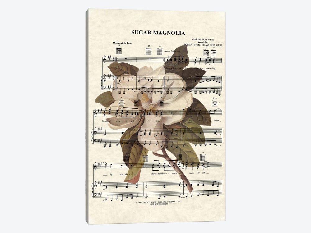 Sugar Magnolia by WordsandMusicArt 1-piece Art Print