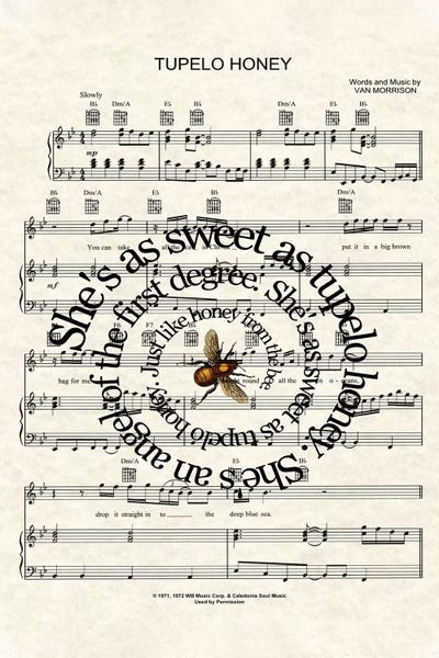 Tupelo Honey by WordsAndMusicArt canvas print