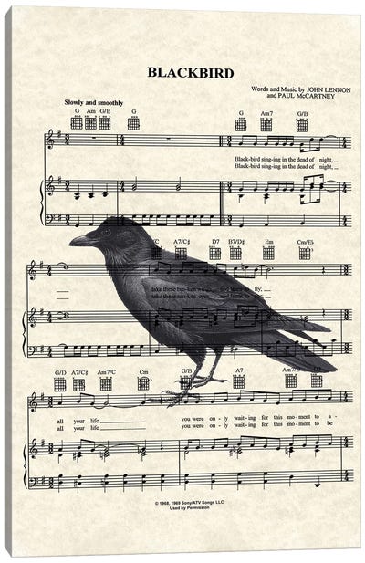 Blackbird With Large Bird Canvas Art Print - Musical Notes Art