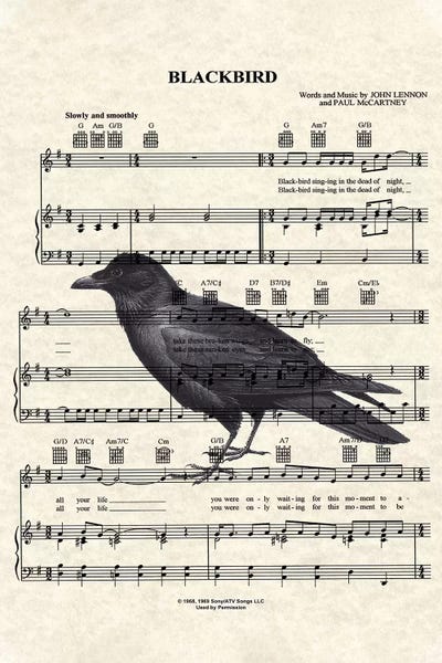 Bands: Blackbird With Large Bird by WordsAndMusicArt