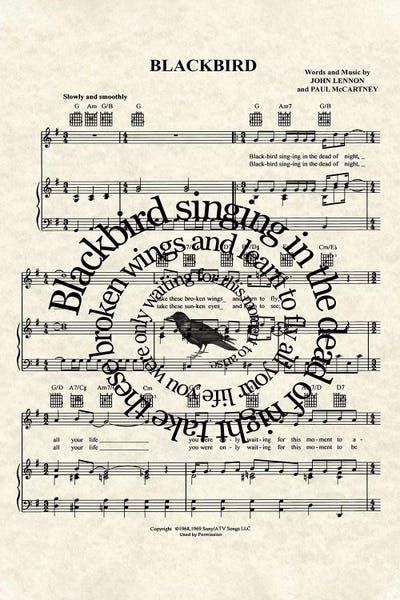 Blackbird - Version Two by WordsAndMusicArt canvas print