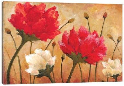 Dance Canvas Art Print - Wani Pasion