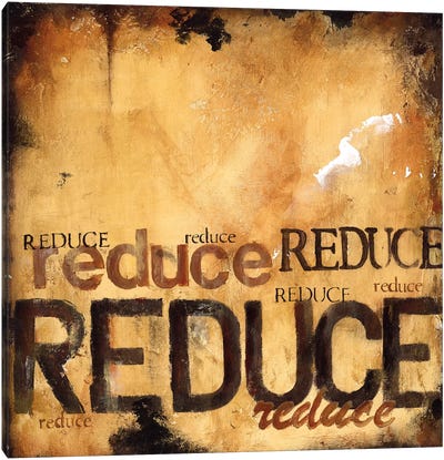 Reduce Canvas Art Print - Wani Pasion