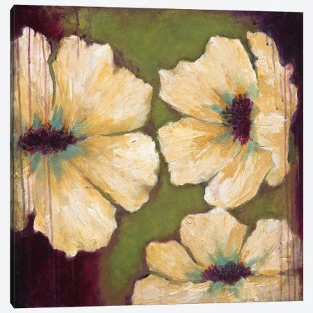 Blooms II Canvas Print #WAN7} by Wani Pasion Canvas Art Print