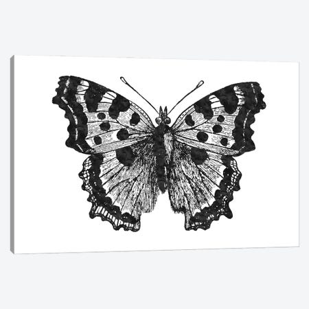 Butterfly I Black Canvas Print #WAO105} by Willow & Olive Canvas Art