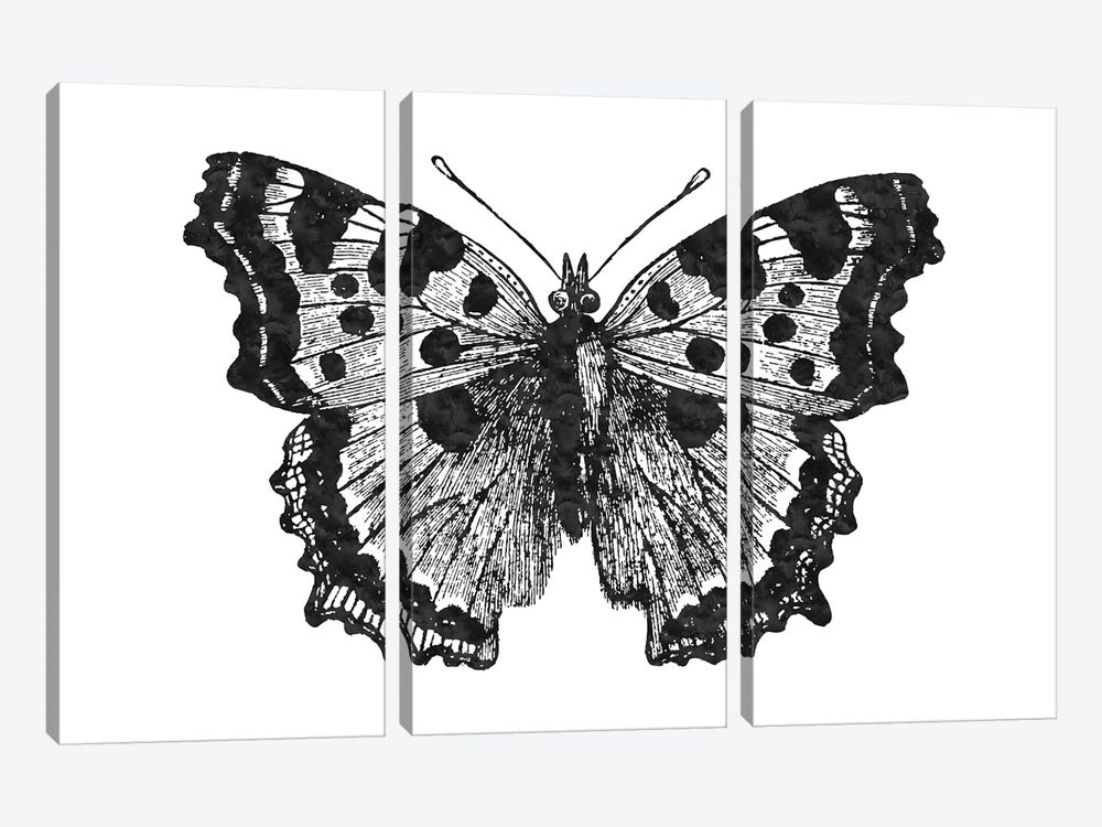 Butterfly I Black by Willow & Olive 3-piece Canvas Print
