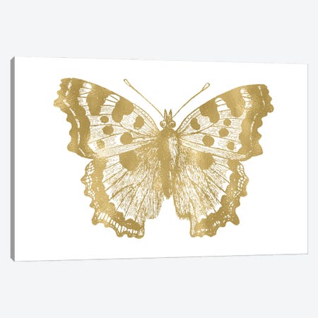 Butterfly I Gold Canvas Print #WAO106} by Willow & Olive Canvas Wall Art