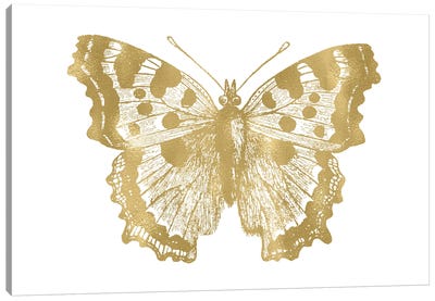 Butterfly I Gold Canvas Art Print