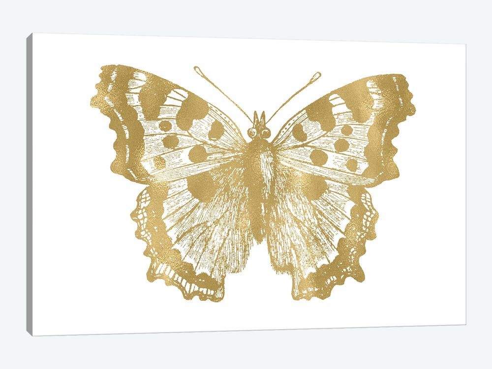 Butterfly I Gold by Willow & Olive 1-piece Canvas Art