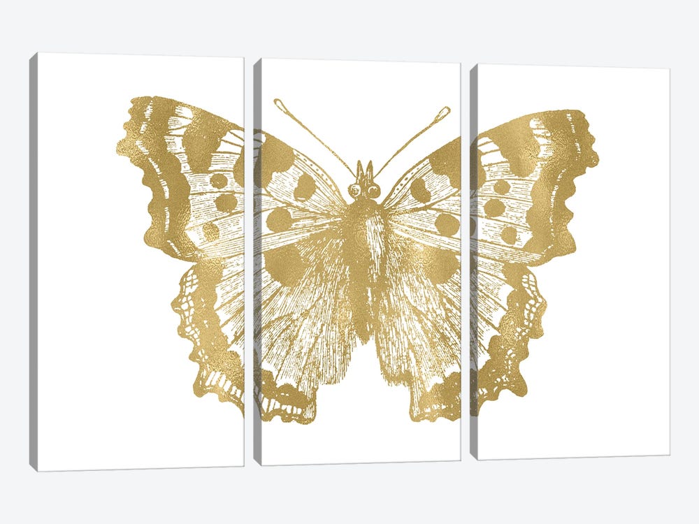 Butterfly I Gold by Willow & Olive 3-piece Canvas Wall Art