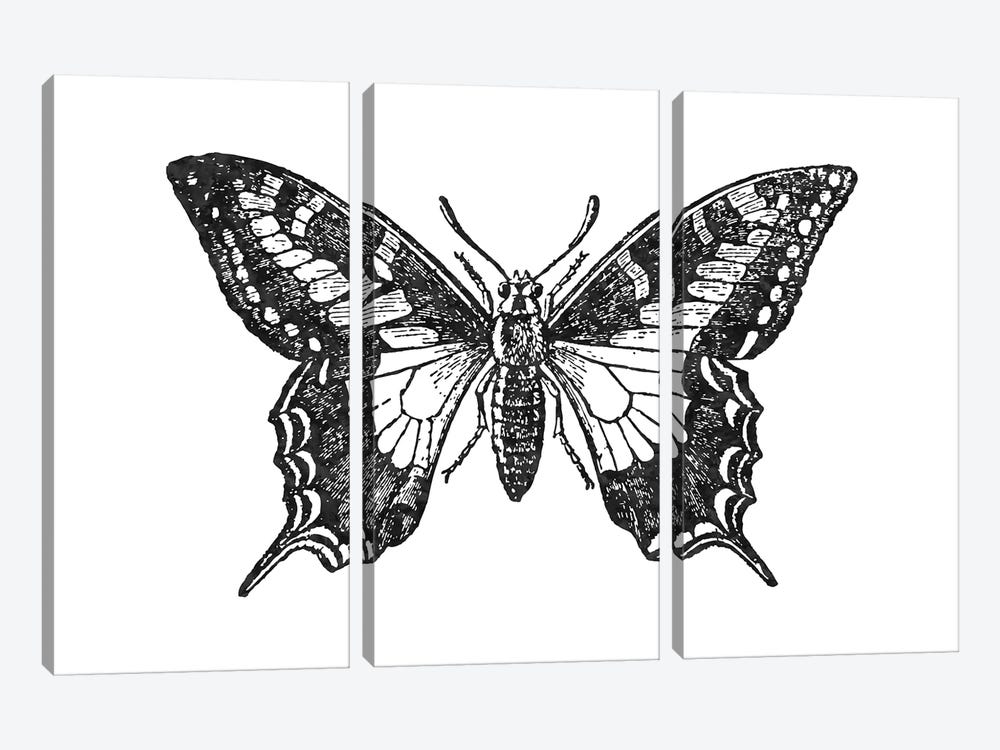 Butterfly II Black by Willow & Olive 3-piece Art Print