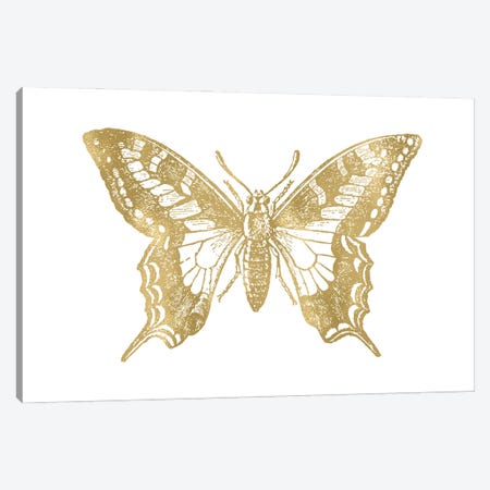 Butterfly II Gold Canvas Print #WAO108} by Willow & Olive Canvas Art Print