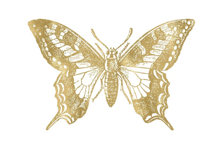 Butterfly II Gold