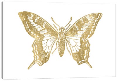 Butterfly II Gold Canvas Art Print - Willow & Olive by Amy Brinkman