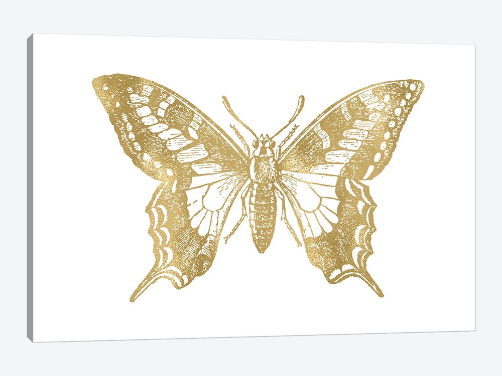 Butterfly II Gold by Willow & Olive 1-piece Canvas Artwork