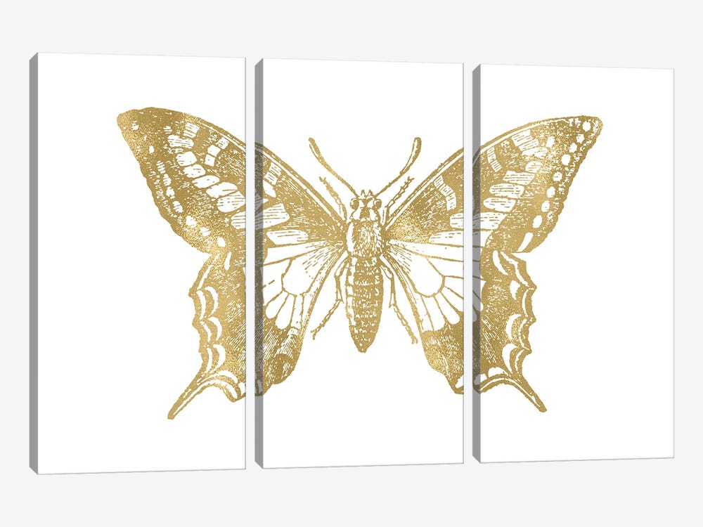 Butterfly II Gold by Willow & Olive 3-piece Canvas Wall Art