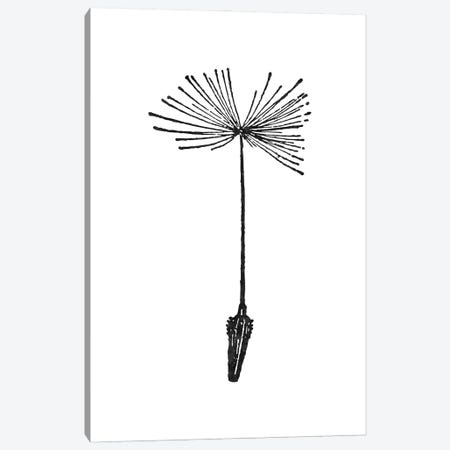 Dandelion I Black Canvas Print #WAO109} by Willow & Olive Canvas Art Print