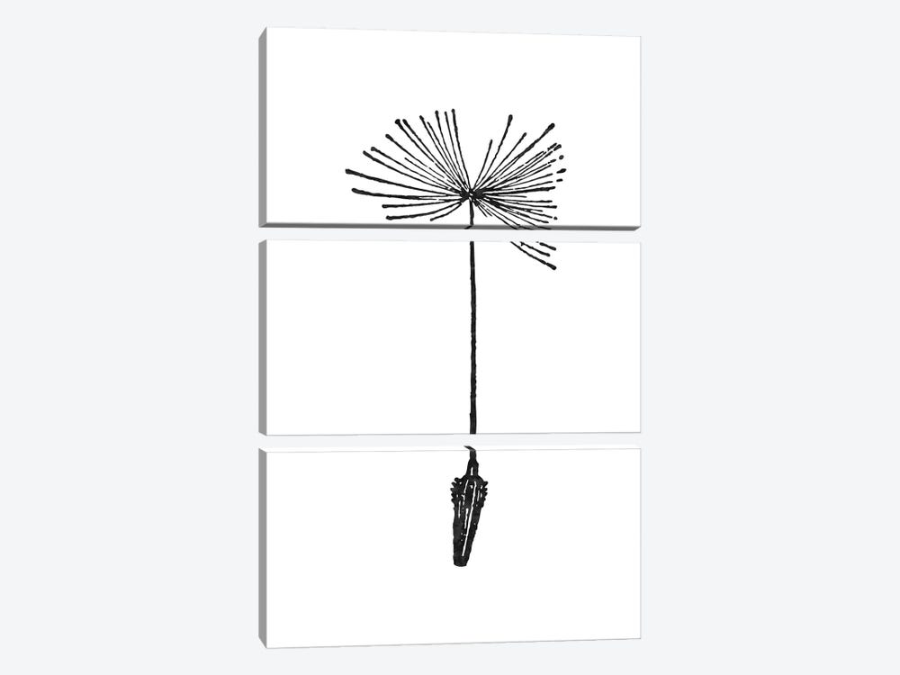 Dandelion I Black by Willow & Olive 3-piece Canvas Art Print