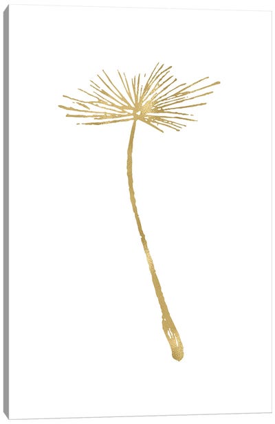 Dandelion II Gold Canvas Art Print - Minimalist Flowers
