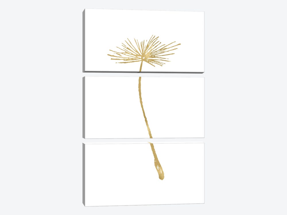Dandelion II Gold by Willow & Olive 3-piece Canvas Art Print