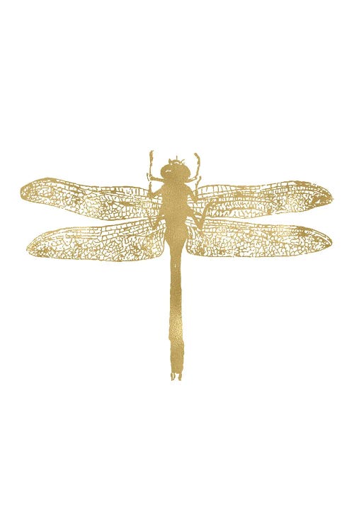 Dragonfly Gold