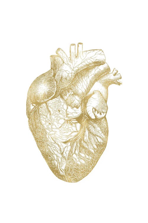 Heart Anatomical Gold